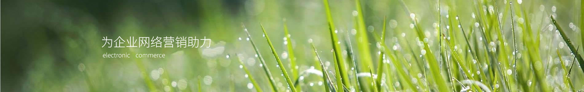 ݴƼ޹˾